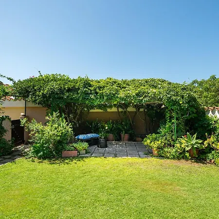 La Bouganville - House With Garden And Sea View Villa Geremèas